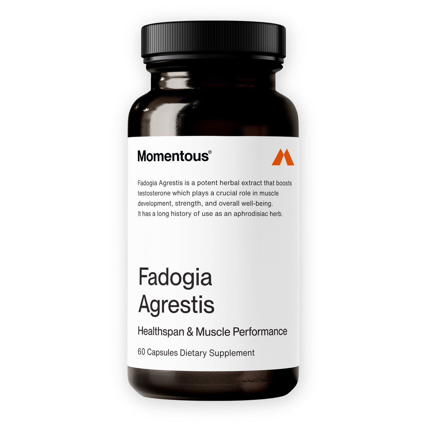 Momentous Fadogia Agrestis