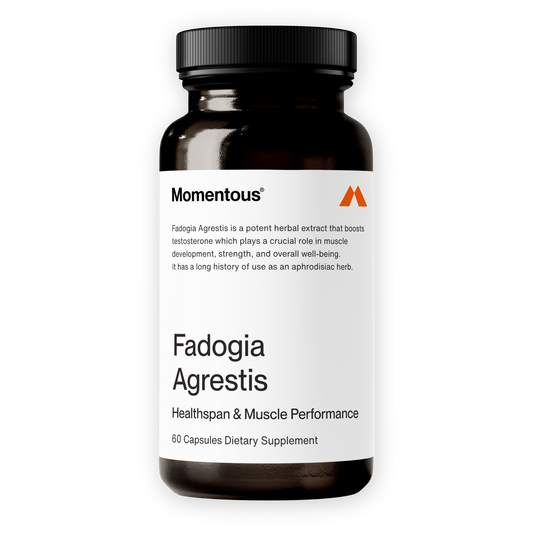 Momentous Fadogia Agrestis