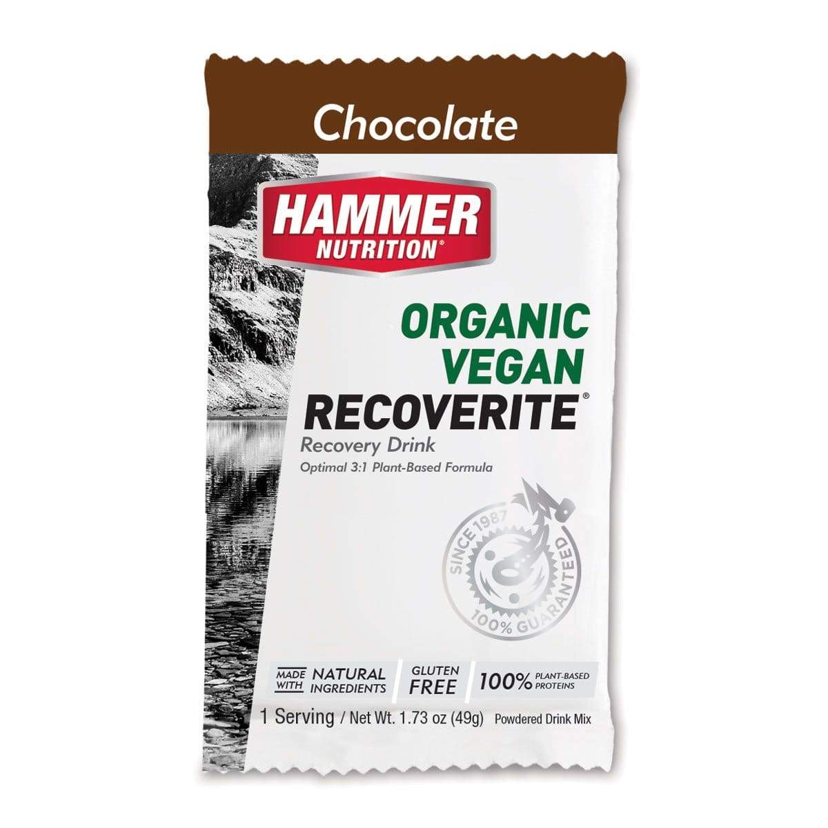 Hammer Vegan Recoverite-Chocolate-Single Serving-The Feed