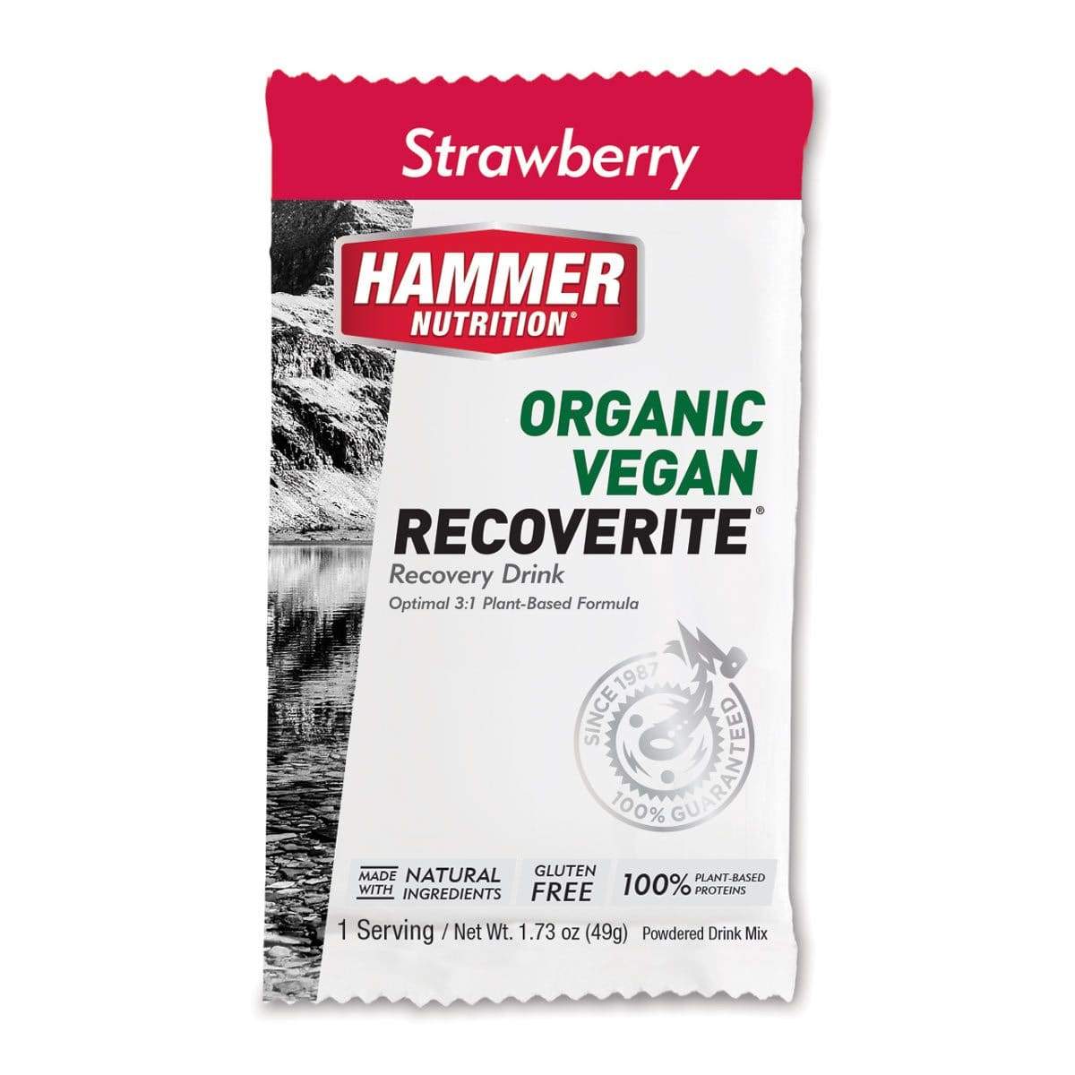 Hammer Vegan Recoverite-Strawberry-Single Serving-The Feed