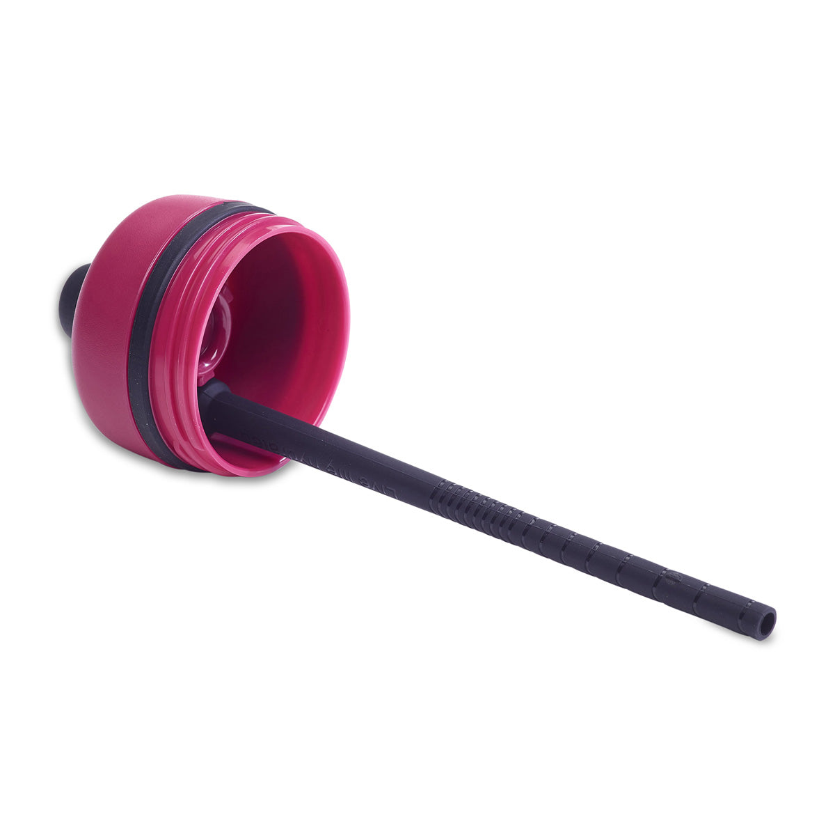 Bivo One Bottles (21oz)