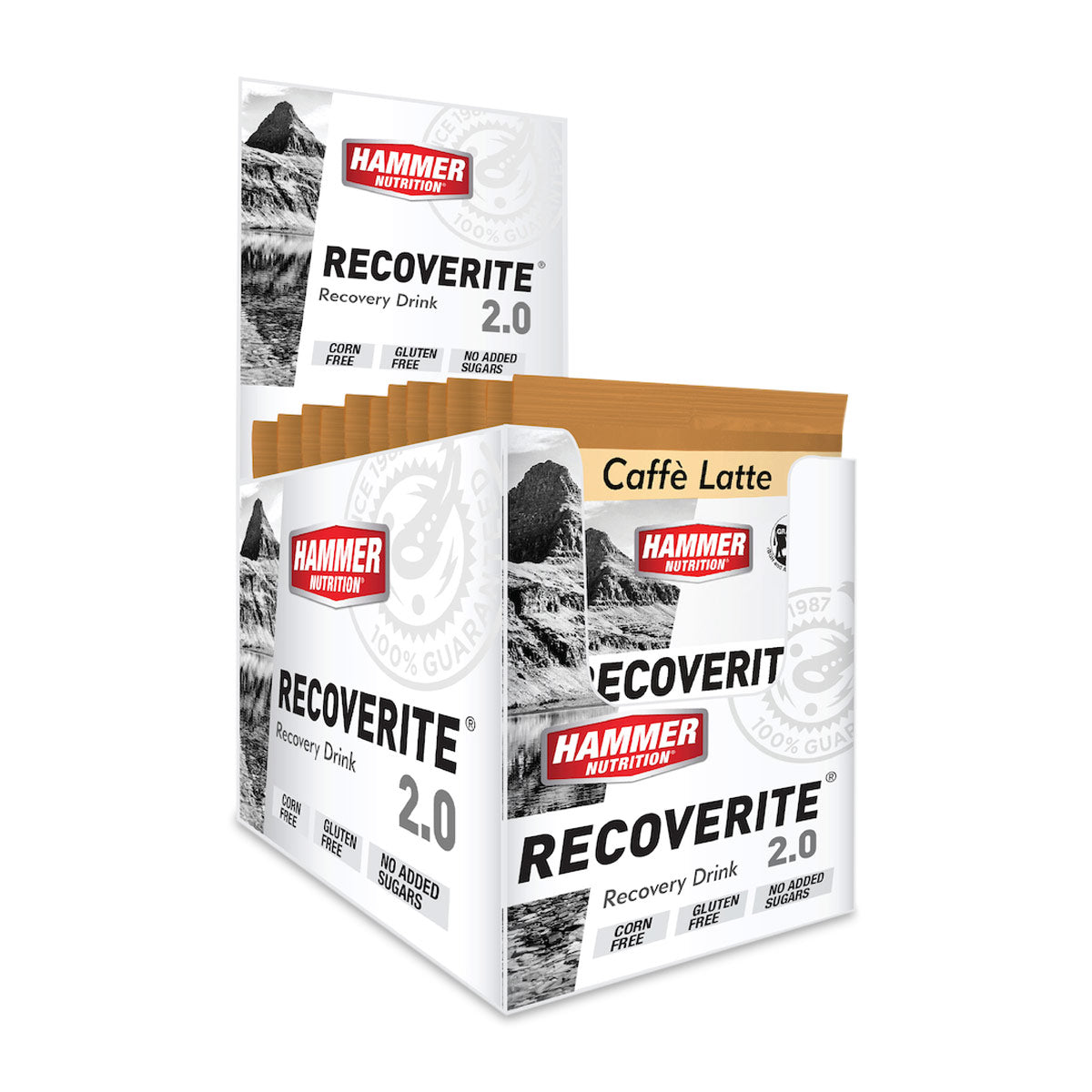 Hammer Recoverite 2.0