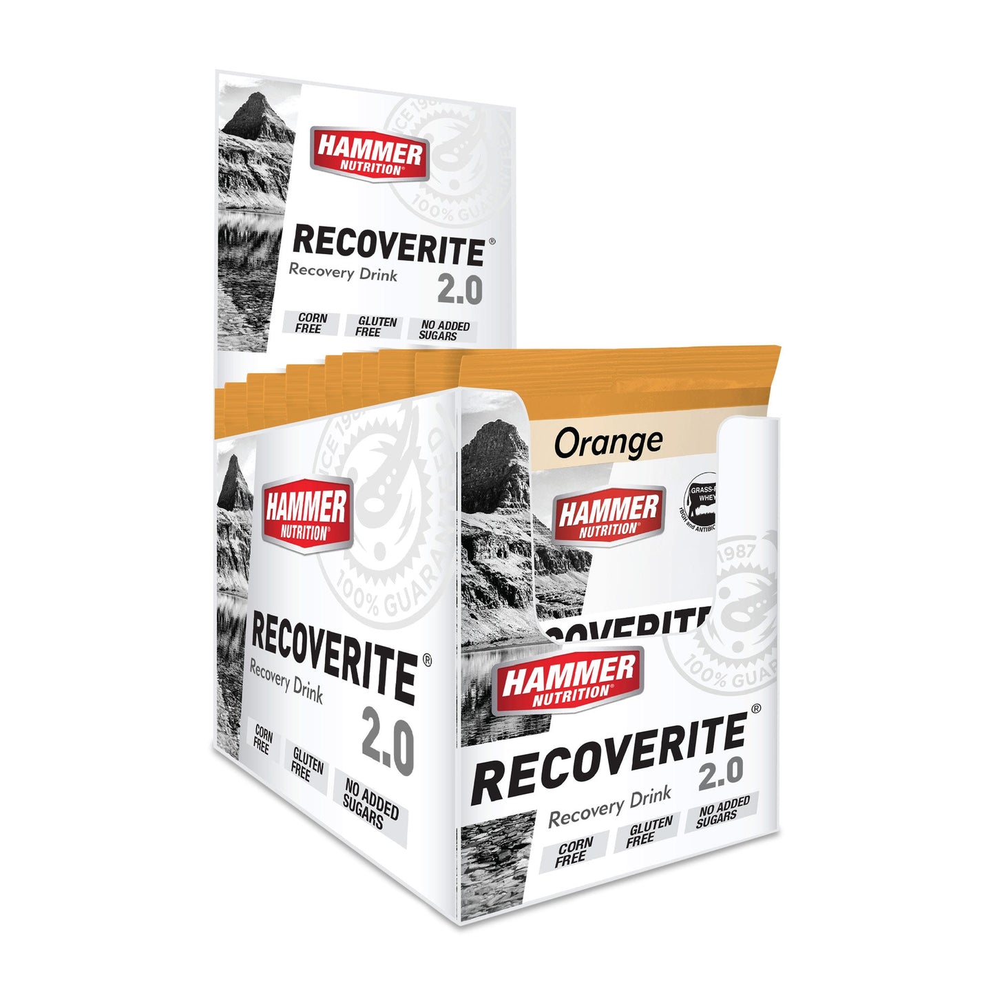 Hammer Recoverite 2.0