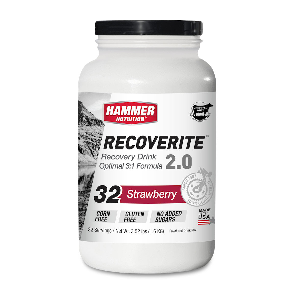 Hammer Recoverite 2.0