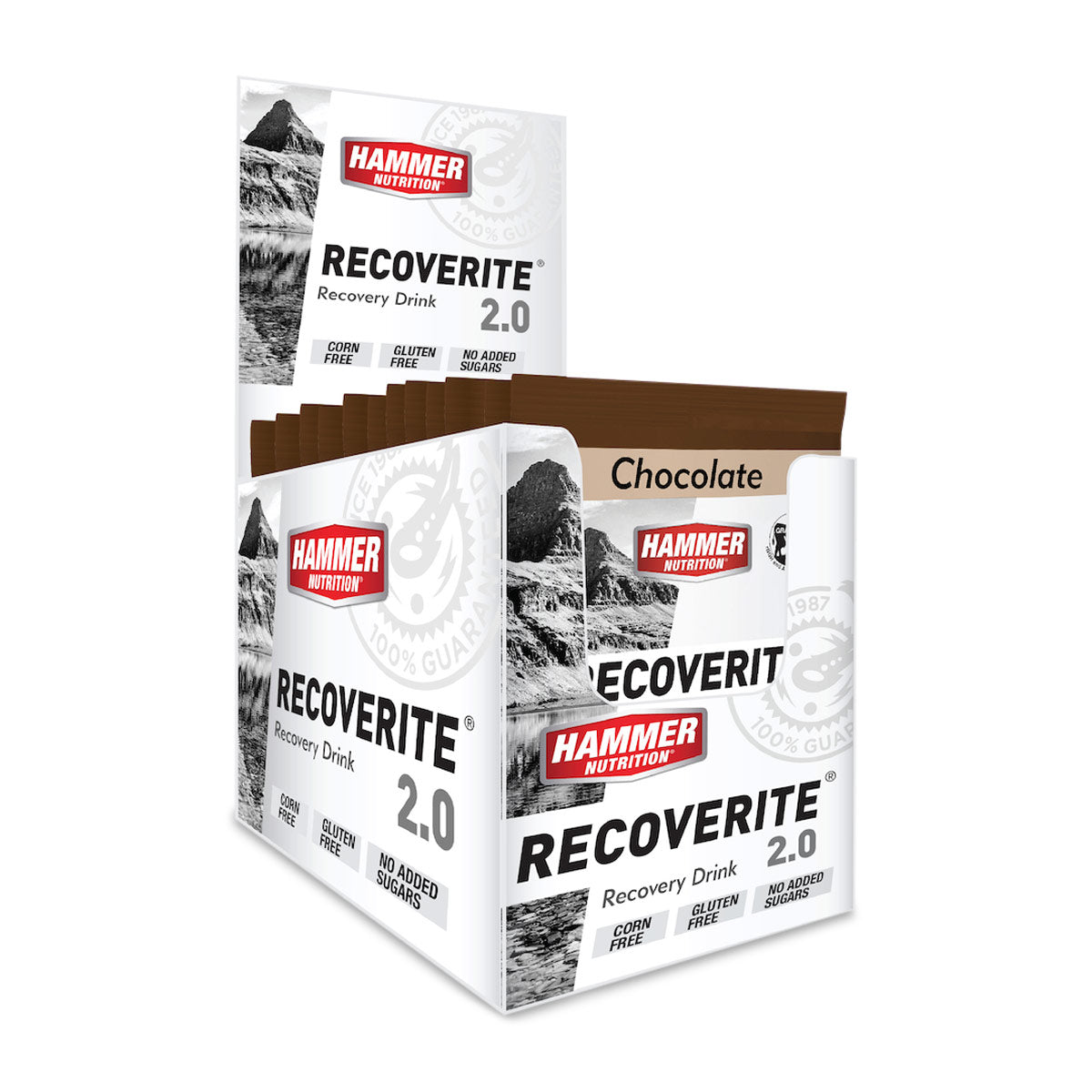 Hammer Recoverite 2.0