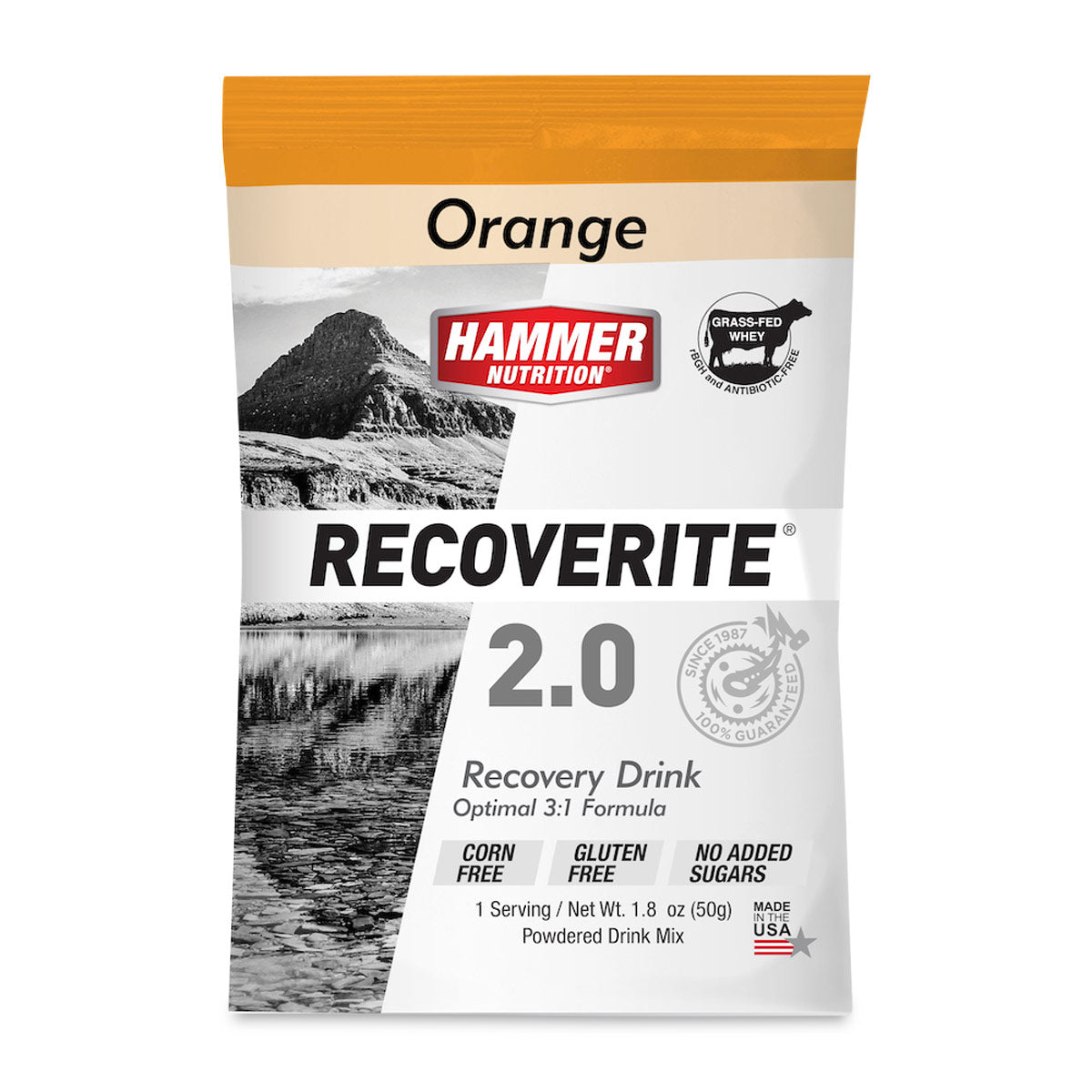 Hammer Recoverite 2.0