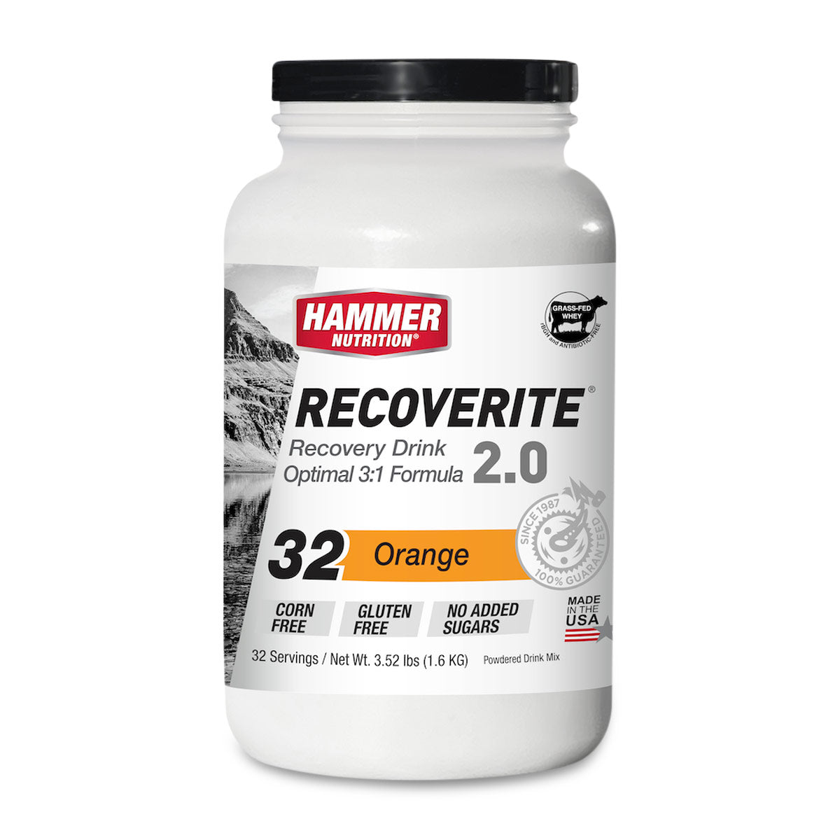 Hammer Recoverite 2.0