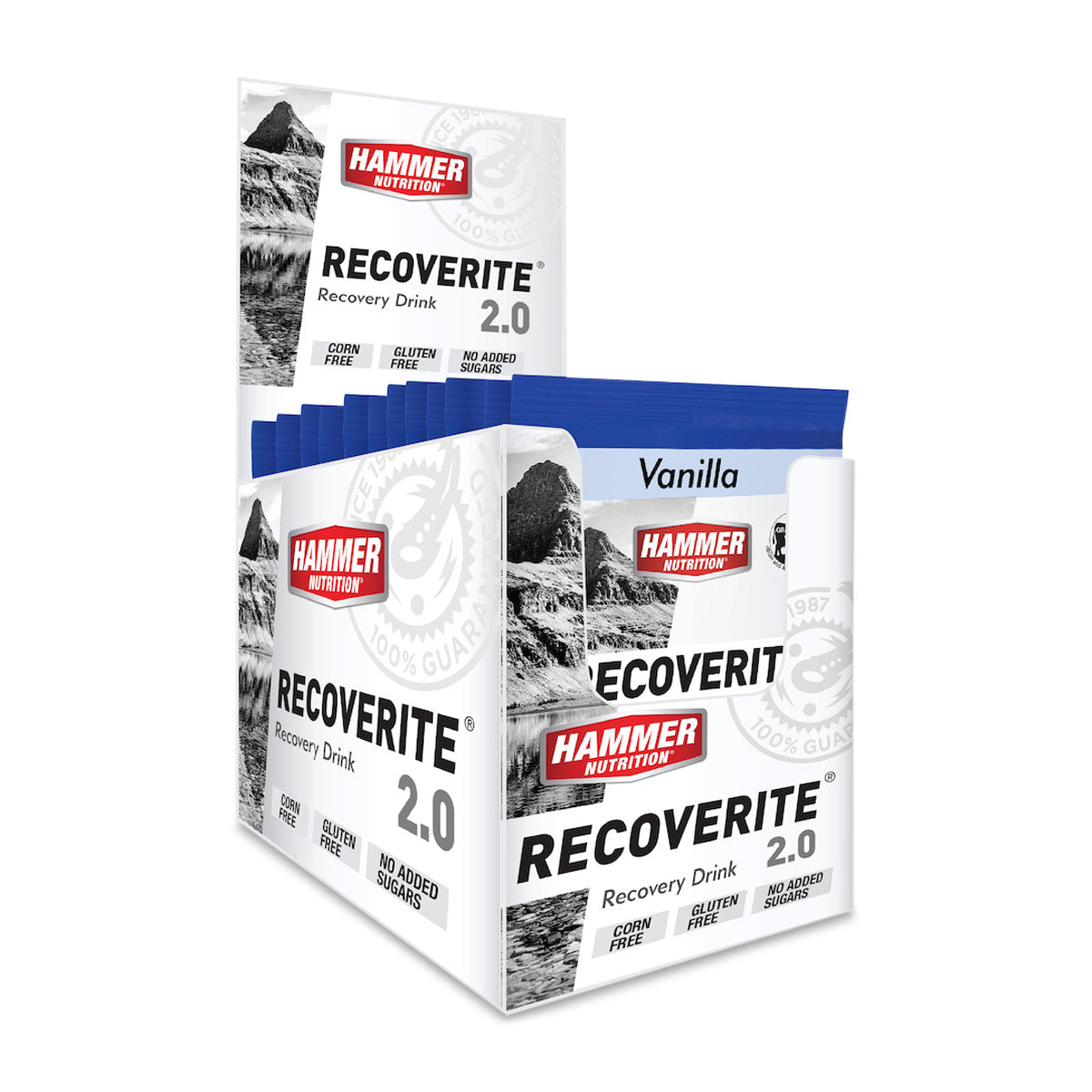 Hammer Recoverite 2.0