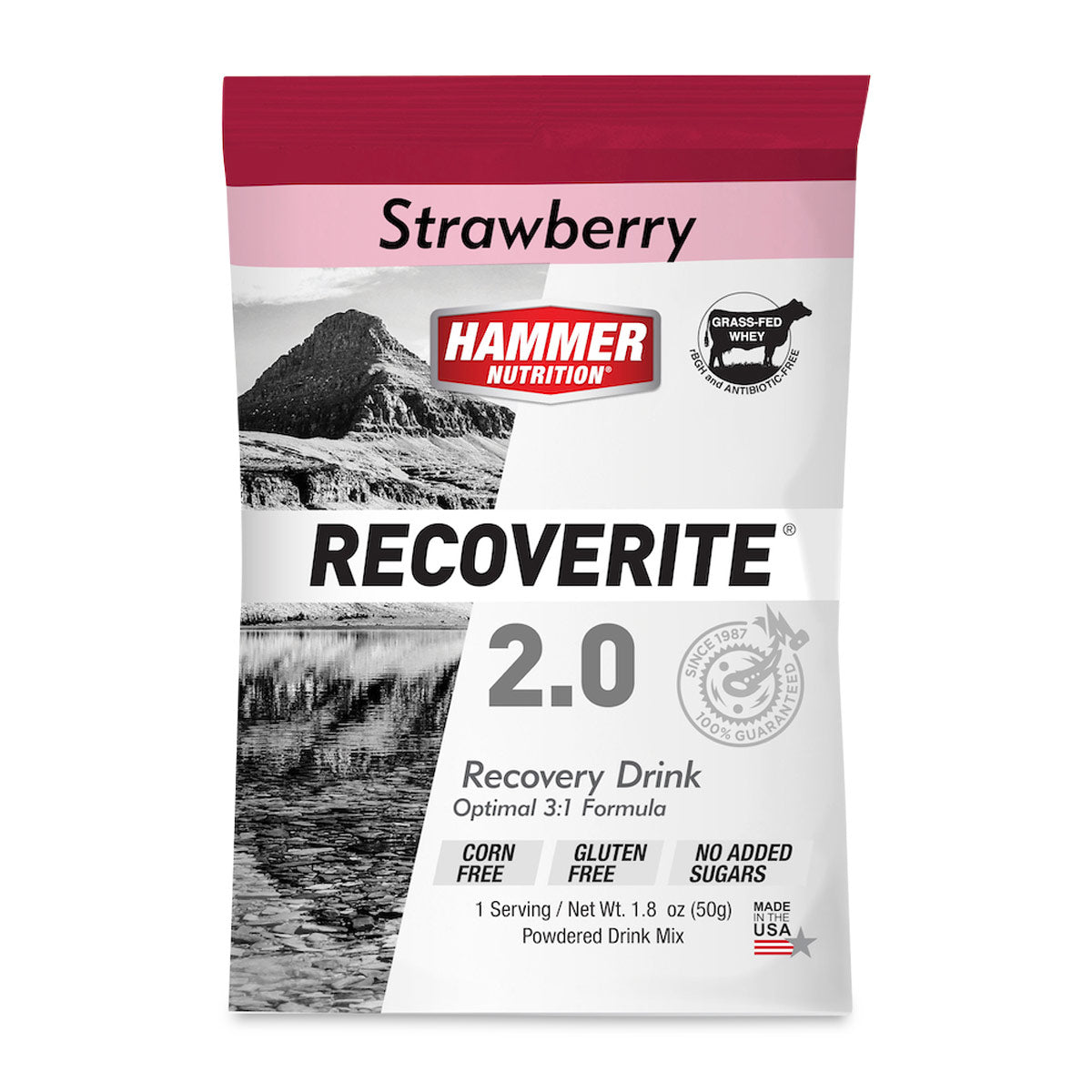 Hammer Recoverite 2.0