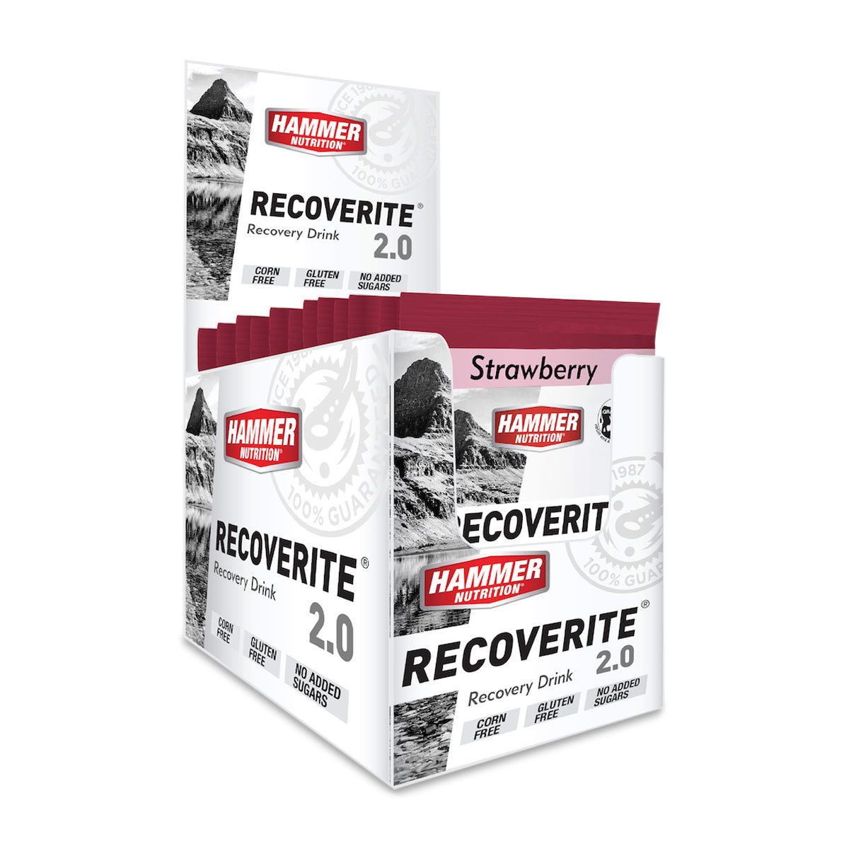 Hammer Recoverite 2.0